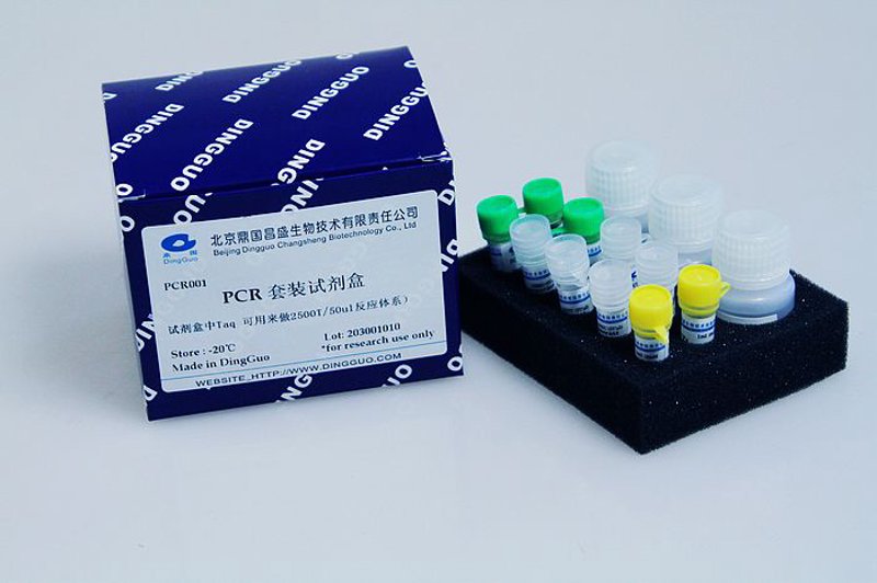 生物技术研发:开启未来之门