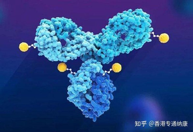 细胞治疗:未来医疗的新方向